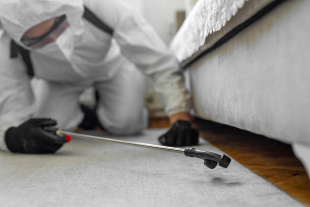 Professional Ant Control technician working in Como, MS
