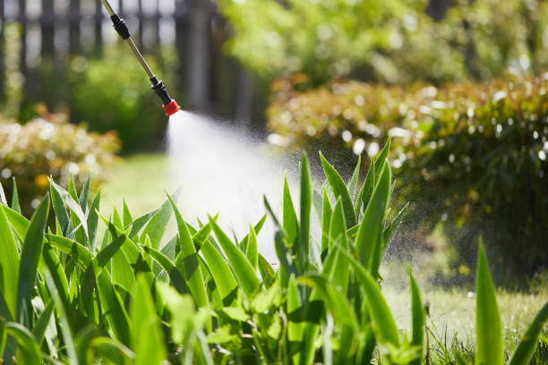 24/7 Emergency Ant Control experts in Como, MS