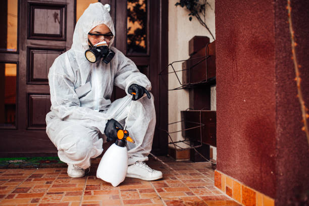 Reliable Ant Control contractor in Como, MS by Show Me Pest Control