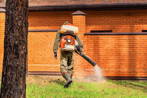 Top rated local Ant Control specialists in Como, MS